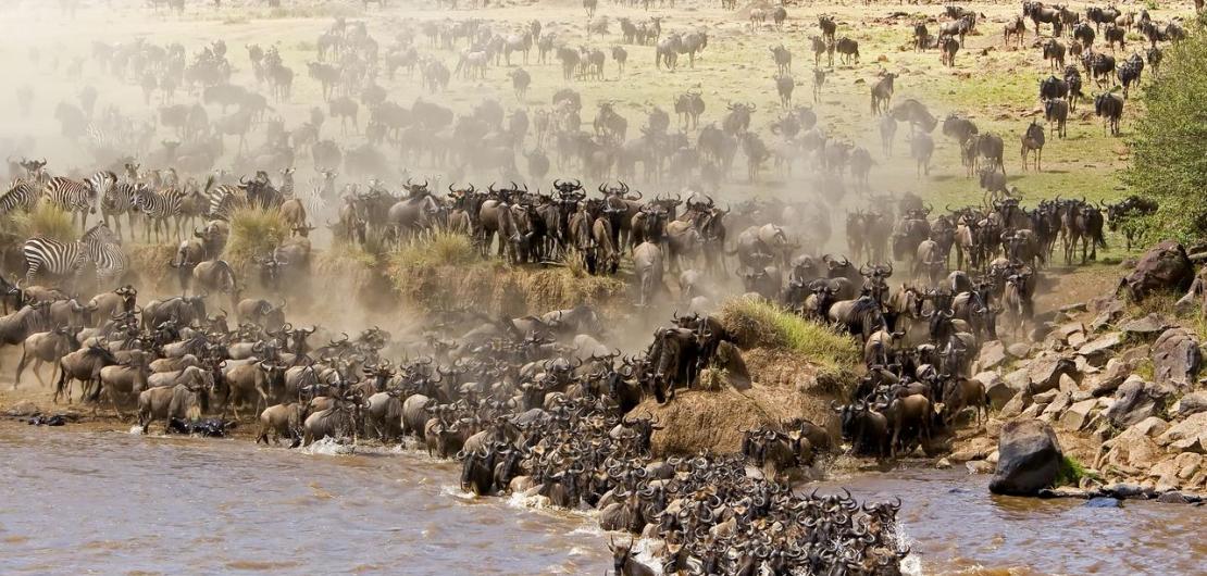 Samburu Masai Mara & Amboseli Safari