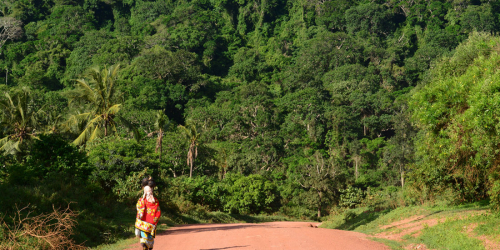 Mijikenda Kaya Forests